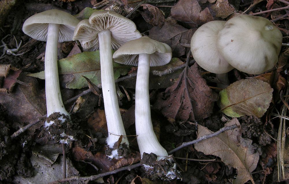 Svuotando l''archivio 2009....3� e ultima parte.